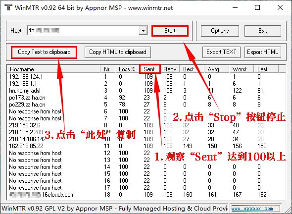 点击 Copy TEXT 按钮获取纯文本格式报告