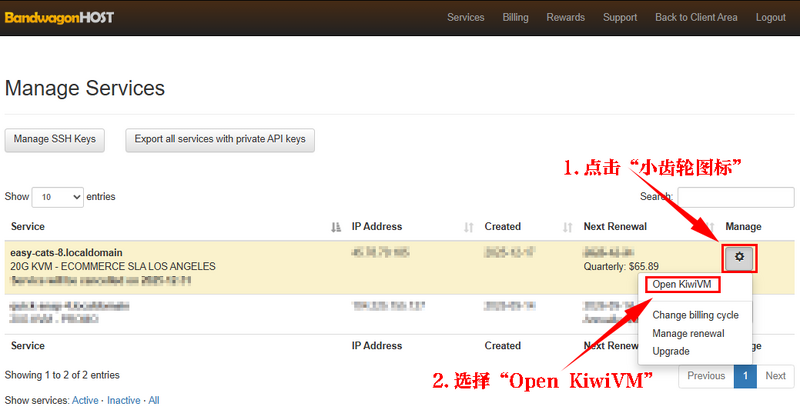 点击 Open KiwiVM 按钮