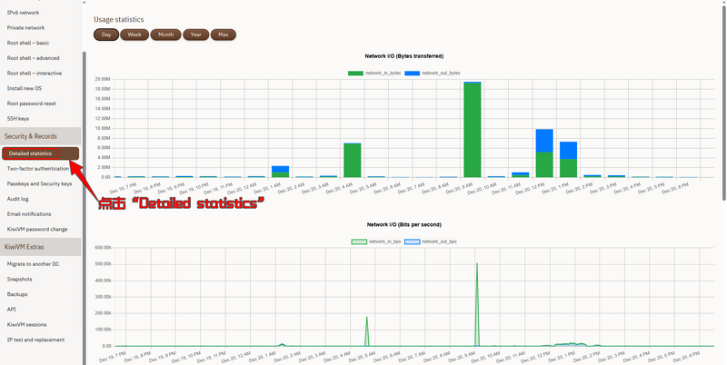 KiwiVM 详细统计页面显示 DDoS 攻击导致的流量断崖