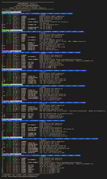 File:AEDXB 1 NQ NetTrace.webp