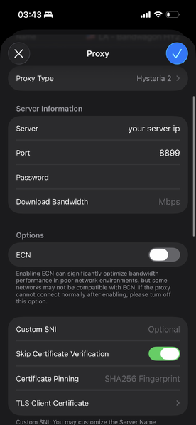 File:Surge HY2 Proxy.png