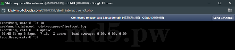 搬瓦工 Interactive Shell 成功登录后的命令行界面