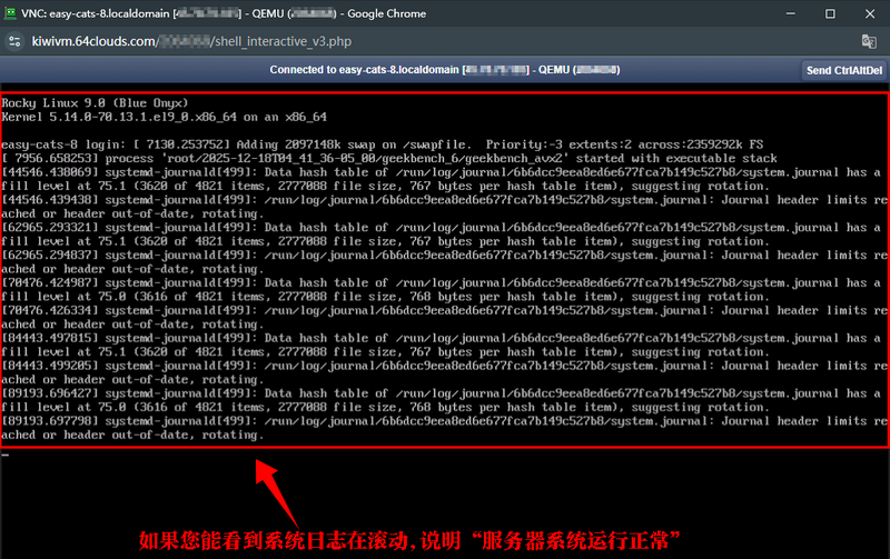 网页终端显示滚动日志，证明服务器系统正在运行